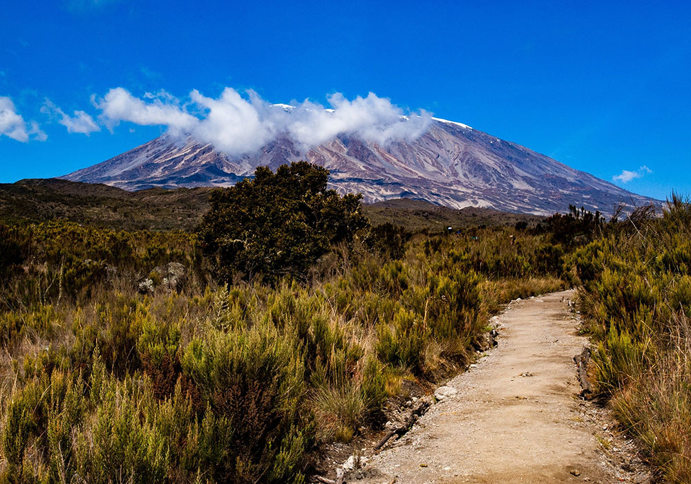 Viento Bottom - Tanzania – Honubelle