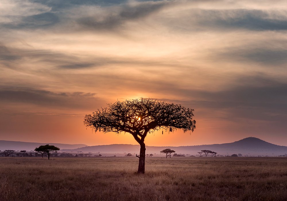 Vast plains of the Serengeti during your safari in Tanzania