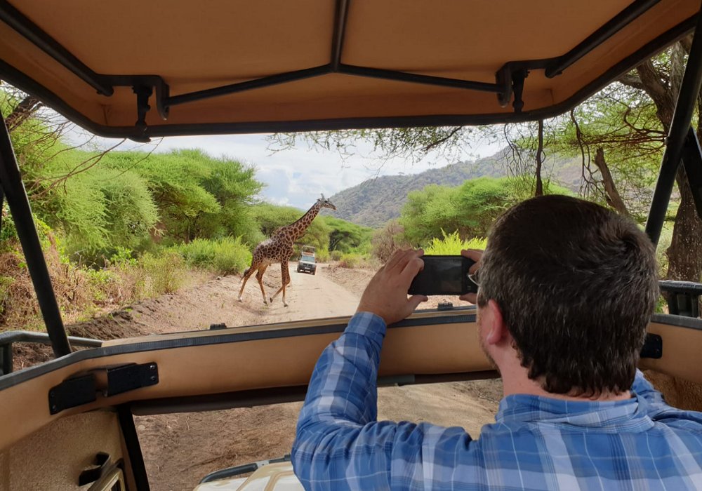 Giving way to a giraffe in Lake Manyara National Park on a private safari