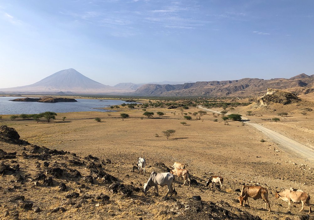 Remote winding road along Lake Natron in Tanzania