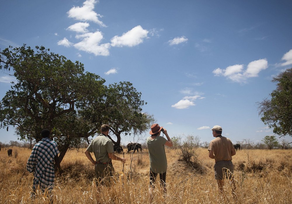 Walking safari while watching wildlife from a respectful distance in Serengeti National Park