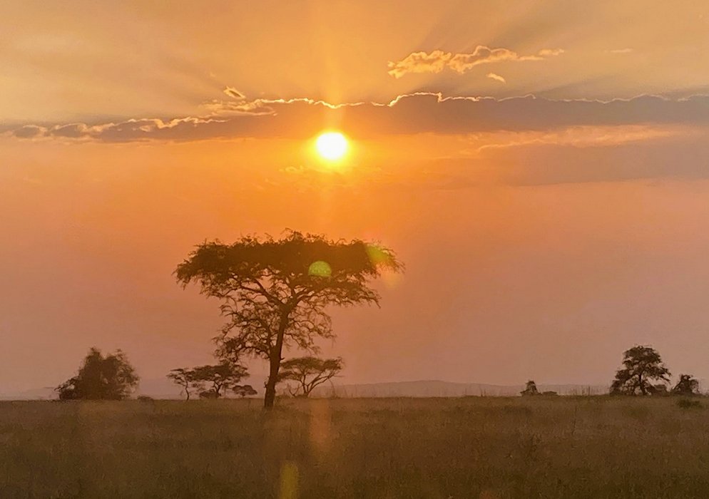 Magnifique coucher de soleil sur la savane du Serengeti.