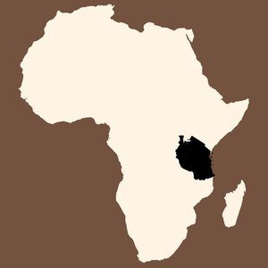 africa-specialist-icon